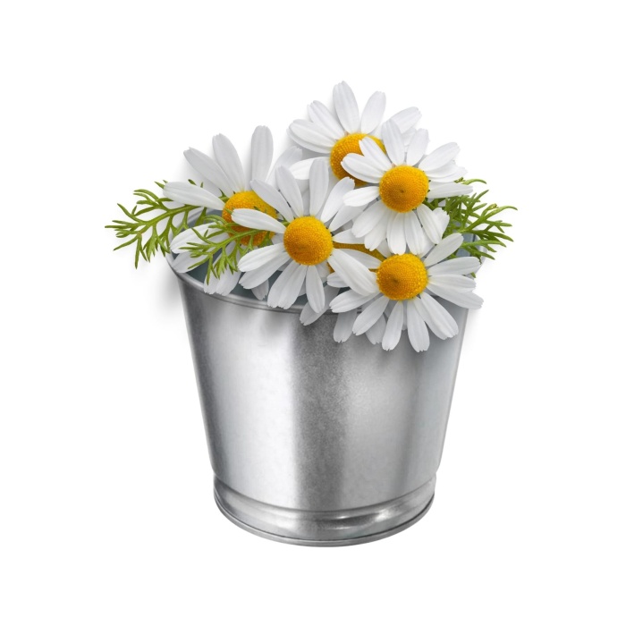 IKEA Galvanizli Gümüş Renk Saksı, Bitki Çiçek Saksısı 9 Cm