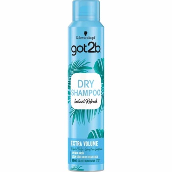 Got2b Fresh It Up 200 ml Hacim Veren Kuru Şampuan