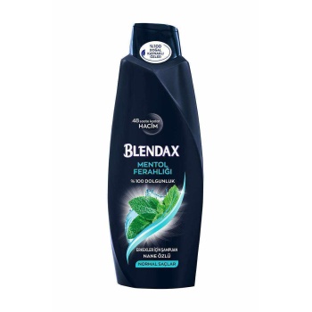 Blendax Erkekler İçin Mentollü Şampuan 500 Ml