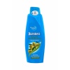 Blendax ZeytinYağı Özlü Yıpranmış Saçlar için Şampuan 500 Ml
