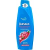 Blendax Kına Özlü Boyalı Saçlar için Şampuan 550 Ml