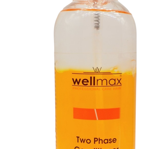 Wellmax Etkili Fön Sütü 400 Ml