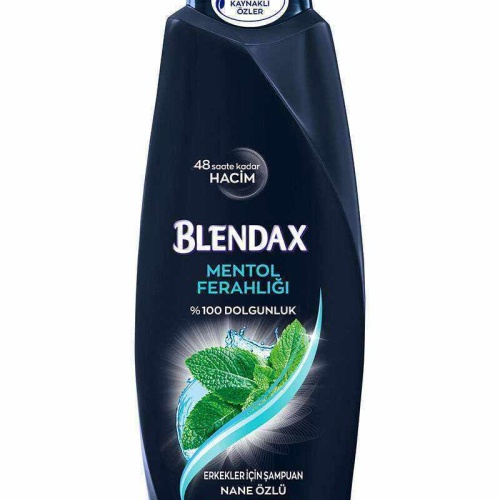 Blendax Erkekler İçin Mentollü Şampuan 500 Ml