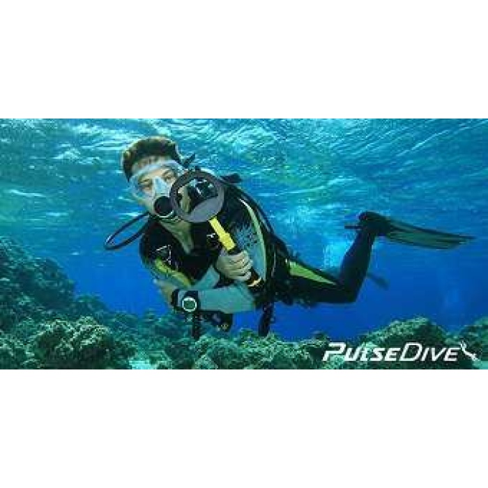 PulseDive Scuba Dedektör