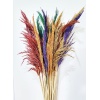 Şoklanmış 15li Pampas Otu 100 cm