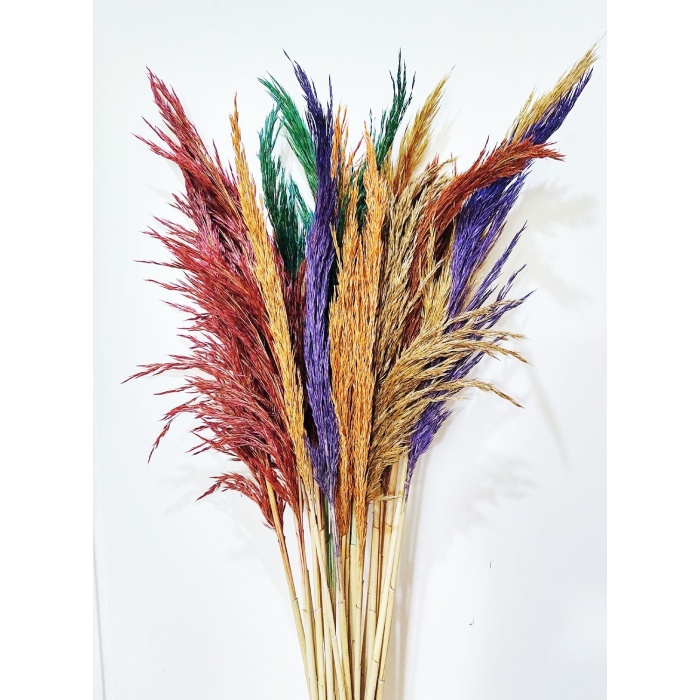 Şoklanmış 15li Pampas Otu 100 cm