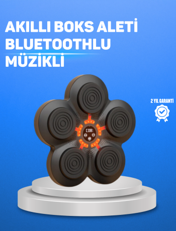 Müzikli Boks Duvar Paneli Akıllı Işık Sistemli Refleks ve Kondisyon Aleti