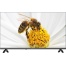 Dijitsu 42DS9000 42 106 Ekran Uydu Alıcılı Full HD Android Smart Led TV