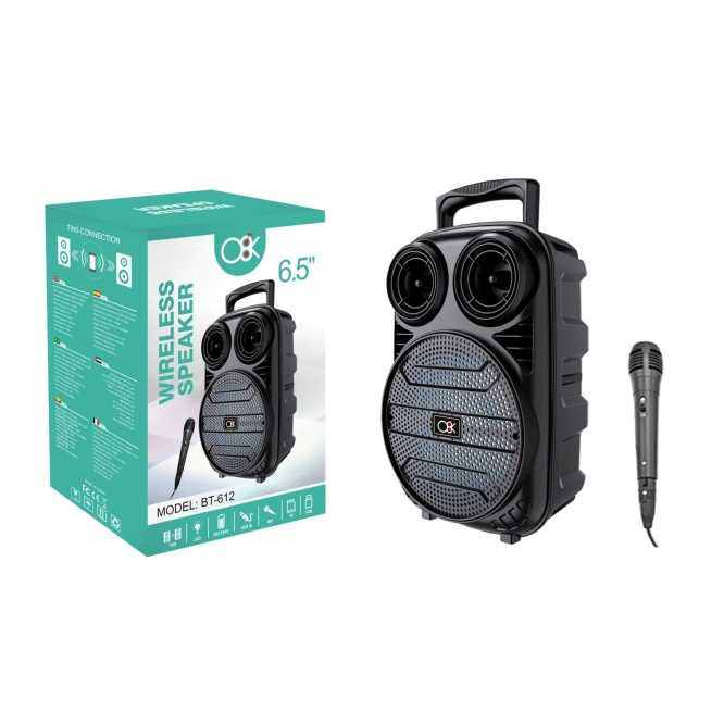 Platoon PL-612  BT USB SD AUX 6.5 İNÇ Mikrofonlu Anfi Yüksek SES Taşınabilir RGB Işıklı Hoparlör