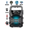 Platoon PL-4446 BT USB SD Bluetooth Taşınabilir Hoparlör