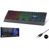 Hadron HDX2604 Gaming Oyuncu Klavye Rainbow/USB/RGB Işıklı Türkçe Q Klavye