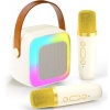 WowKids SY13 İki Mikrofonlu Gold Karaoke Speaker