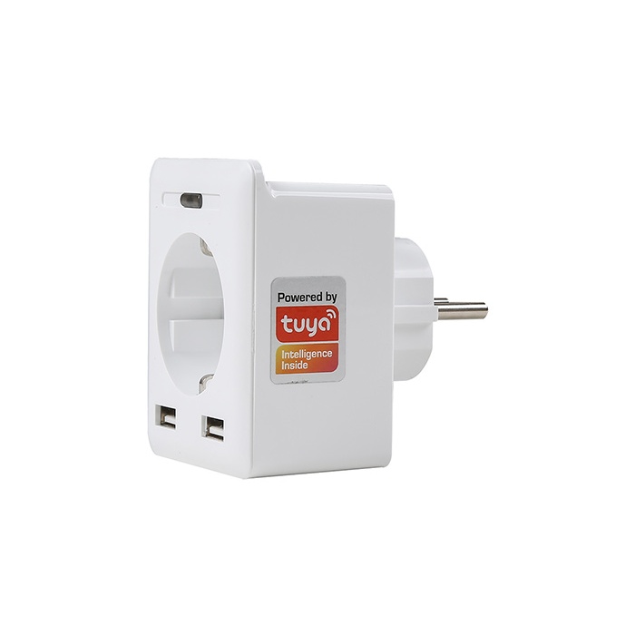 S-Link Swapp SL-04 10A Akım Korumalı Akıllı Priz 2 USB 2.4 Ghz Wifi TUYA Destekli