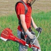 Einhell Ge-Bc 43 As Benzinli Profesyonel Tırpan