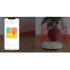 Roborock S6 Pure Robot Süpürge