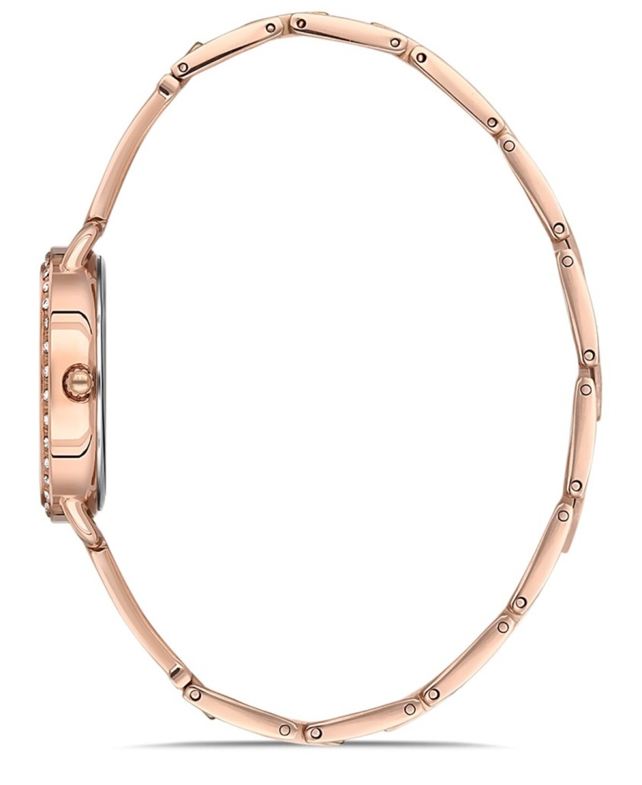 Sw260r-02sr Momentus Kadın Kol Saati