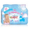 Hayat Doğal Mineralli Bebek Suyu 6lı