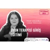 Oyun Terapisi Giriş Programı