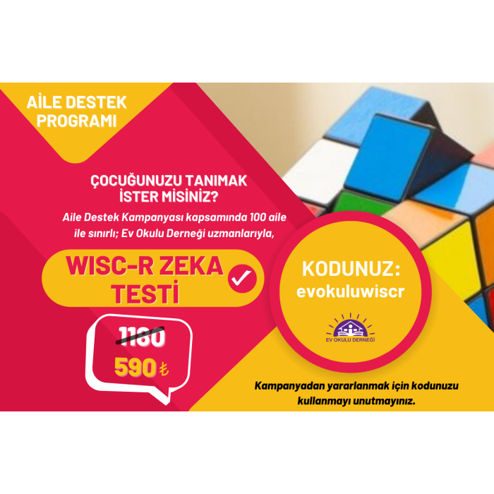 WISC-R Zeka Testi