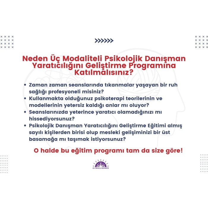 Üç Modaliteli Psikolojik Danışman Yaratıcılığını Geliştirme Programı (PAYGEP-3M)