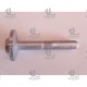 CİVATA SALINCAK ARKA (ALT) MAZDA 6 02-09 (TW)