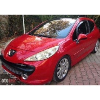 Peugeot 207- 06/09   Uyumlu Ön Tampon Panjuru Üst Nikelajlı (ızgara) (outdorr Tipi) (tyg) 7414.qe