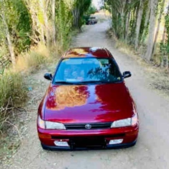 Toyota Corolla Efsane Kasa Ön Sis Lambası Ampüllü Takım 2 Adet 1993-1998
