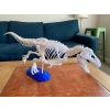 Gastralia (Göbek Kaburga) Ve Diğer Anatomik Düzeltmeler İle T-Rex İskeleti Plastik Aparat