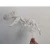 Gastralia (Göbek Kaburga) Ve Diğer Anatomik Düzeltmeler İle T-Rex İskeleti Plastik Aparat