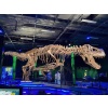 Gastralia (Göbek Kaburga) Ve Diğer Anatomik Düzeltmeler İle T-Rex İskeleti Plastik Aparat