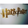 Harry Potter Logosu Dekoratif Biblo Dekor Hediyelik Süs Eşyası