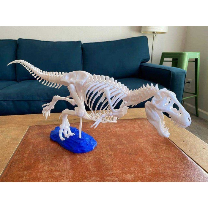 Gastralia (Göbek Kaburga) Ve Diğer Anatomik Düzeltmeler İle T-Rex İskeleti Plastik Aparat