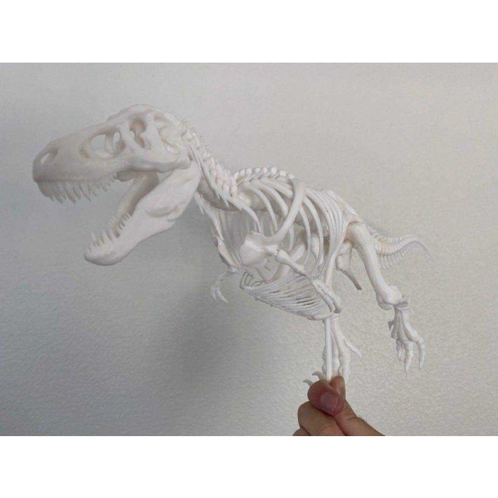 Gastralia (Göbek Kaburga) Ve Diğer Anatomik Düzeltmeler İle T-Rex İskeleti Plastik Aparat