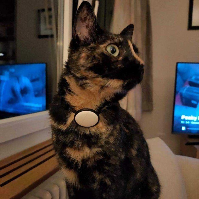 Apple Airtag Kedi 10Mm Yaka Tutucu Plastik Aparat