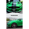 Hexis Boston Green Matt