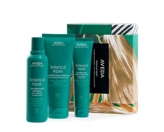 Aveda Botanical Repair Strengthening Essentials Set