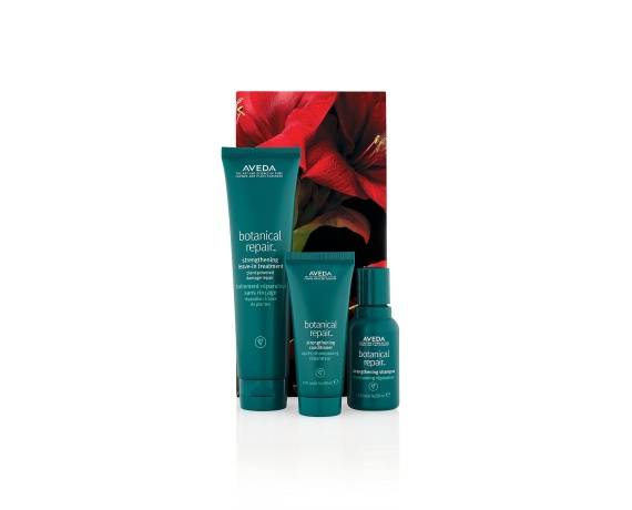 Aveda Botanical Repair Strengthening Hair Trio Set