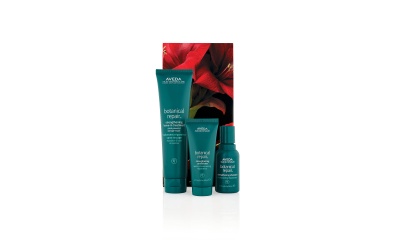Aveda Botanical Repair Strengthening Hair Trio Set