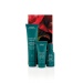 Aveda Botanical Repair Strengthening Hair Trio Set