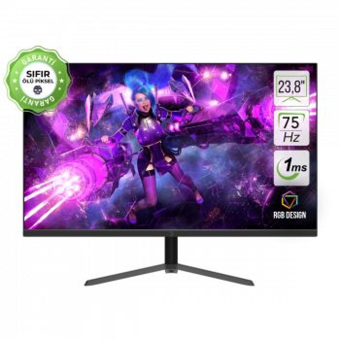 23.8 GAMEPOWER ACE A10 FLAT 1MS 75Hz MONITOR