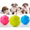 Grck Köpek Isırma Topu Pati Desenli Efsn