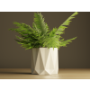 Plant Pot #7 P1201259