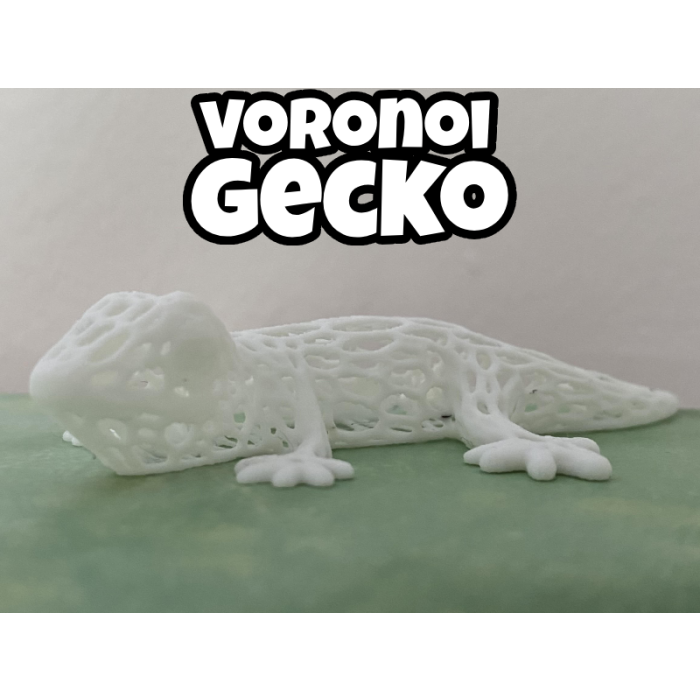 Voronoi Gecko P729946