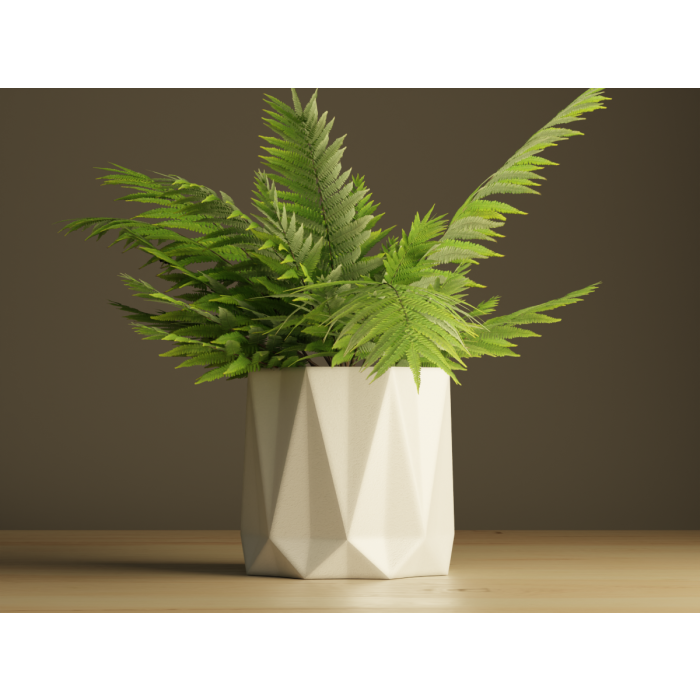Plant Pot #7 P1201259