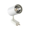 Zmr 30W Led Ray Spot 3000K Siyah Kasa