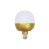 Akiwa 20W Tourch Elma Led Ampül