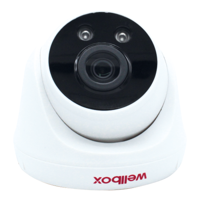 Wellbox IPD 5175P IP Kamera Dome 5 MP 3,6mm