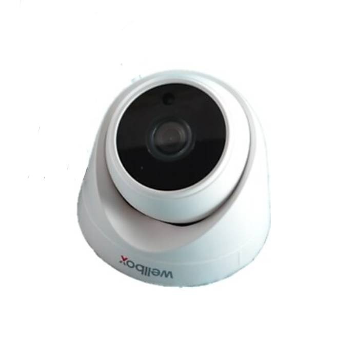 Wellbox WB-D2101P AHD Kamera Dome 2,0mp 3,6mm