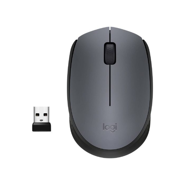 Logitech M170 Kablosuz Mause