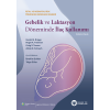 GEBELİK VE LAKTASYON DÖNEMİNDE İLAÇ KULLANIMI
